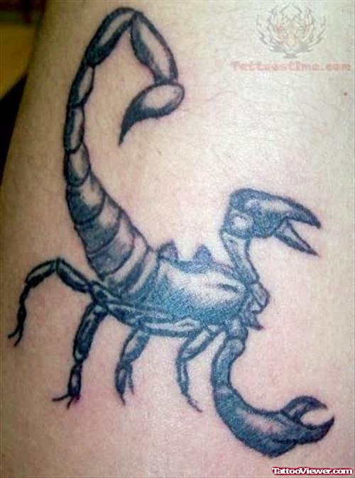 Hot Scorpion Tattoo On Bicep