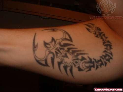 Scorpio Tattoo Design on Forearm