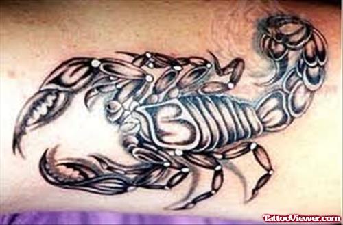 Wonderful Scorpion Tattoo