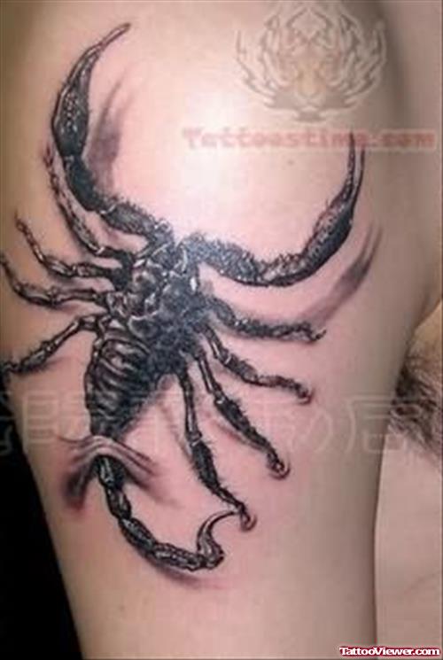 Scorpion Free Tattoo On Bicep