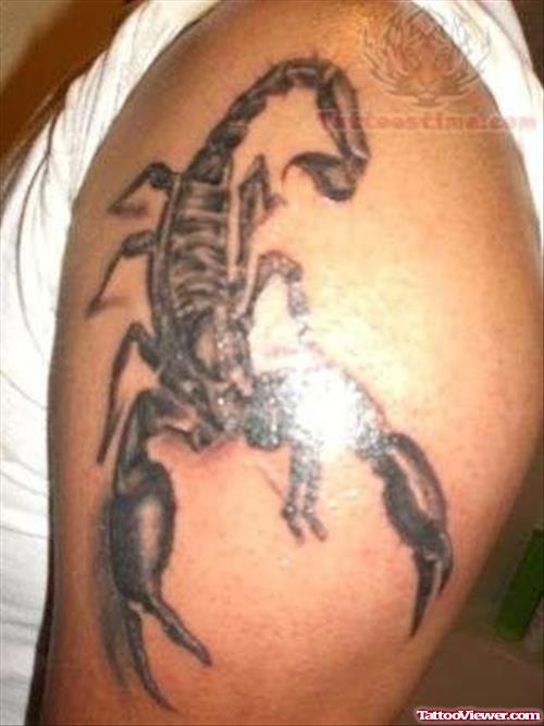 Scorpion Shoulder Tattoos