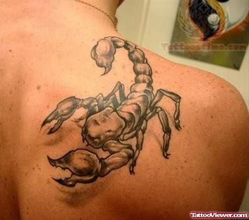 Terrific Scorpion Tattoo On Back