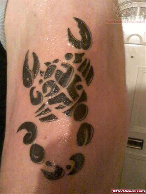 Stylish Scorpion Tattoo On Bicep