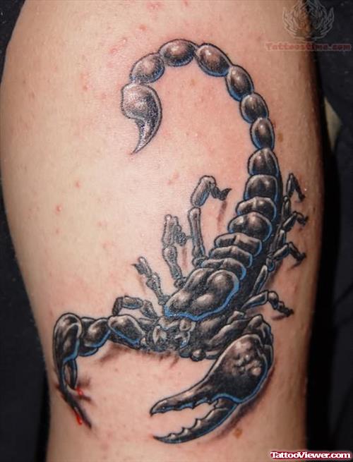 Scorpion Tattoo By Admin