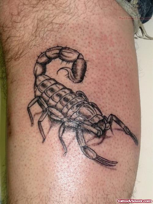 Scorpion Tattoo On Skin