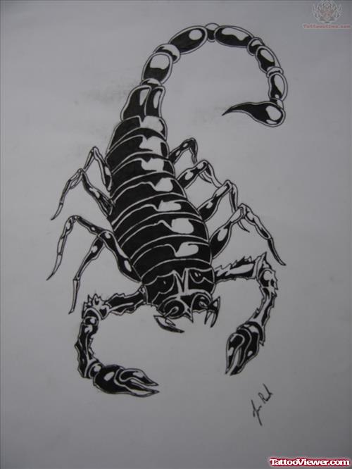 Scorpion Tattoo Designs Gallery