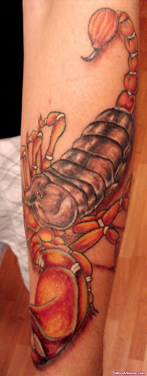 Colored ink Scorpion Tattoo