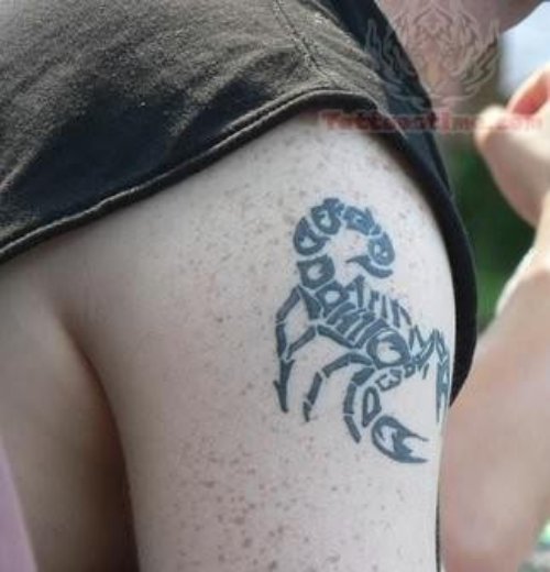 Beautiful Scorpion Tattoo On Bicep