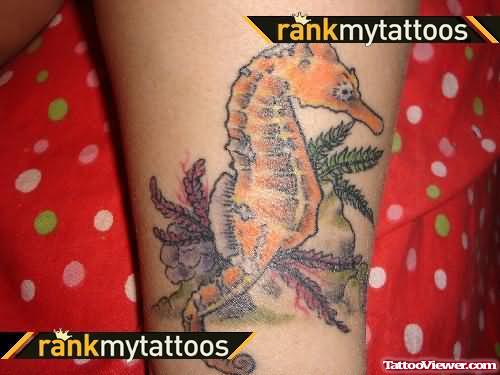 Seahorse - Animal Tattoo