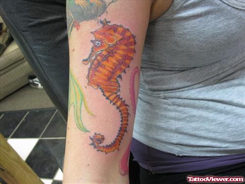 Sea Horse Tattoo On Sleeve
