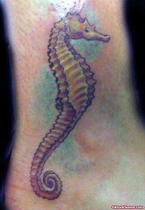 Sea Horse Tattoo For Foot