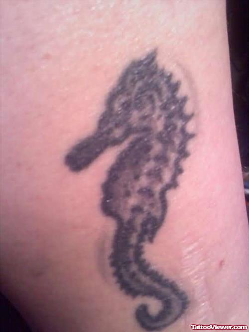 Sea Horse Design Tattoo