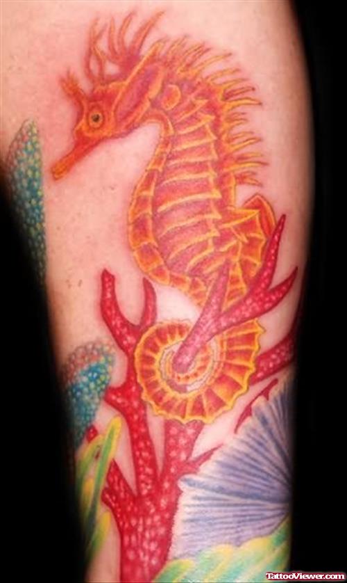 Colourful Stylish Seahorse Tattoo