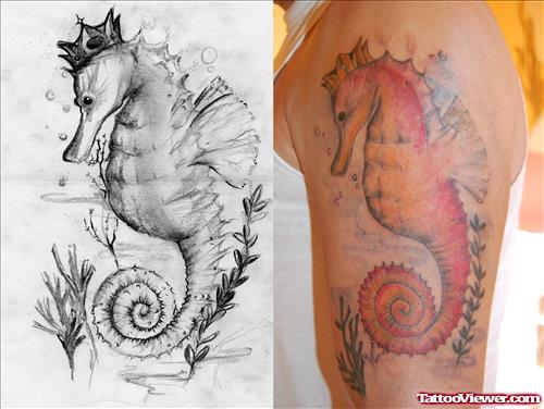 Seahorse Design And Tattoo On Sleeve
