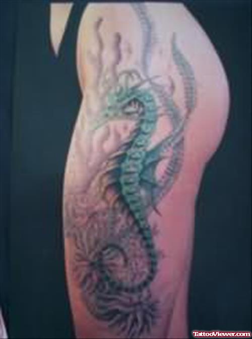 Montana Seahorse Tattoo Studio