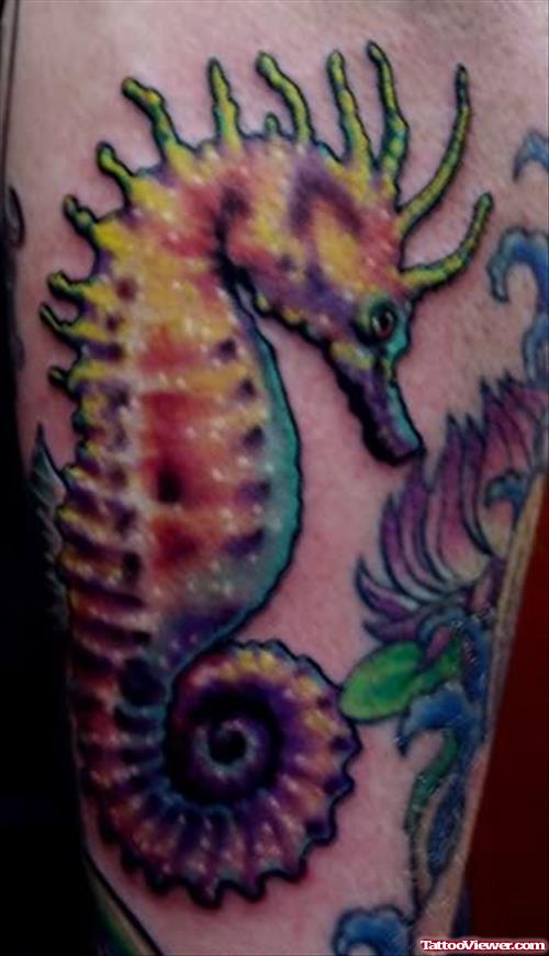 Jamison Seahorse Tattoo On Body