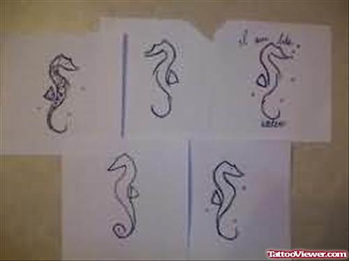 Seahorse Tattoos Drawings