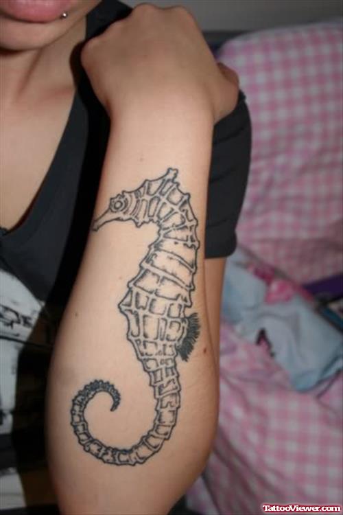 Seahorse Tattoo On Fore Arm