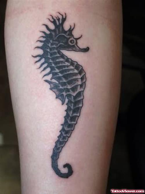Seahorse Tattoo Blog
