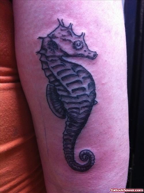 Seahorse Amazing Tattoo On Bicep