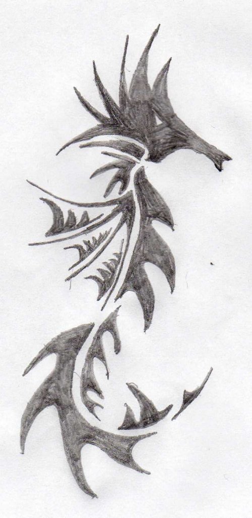 Sea Horse Tattoo Sketch