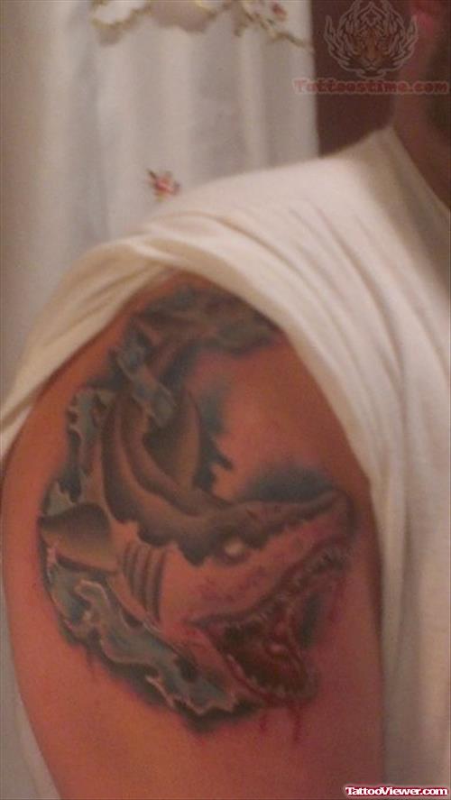 Great White shark Tattoo On Biceps