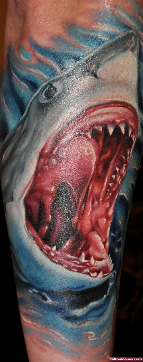 Waylon Shark Tattoo