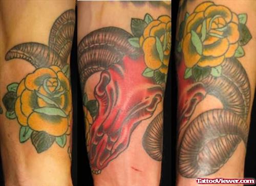 Shark Skull Tattoos On Arms