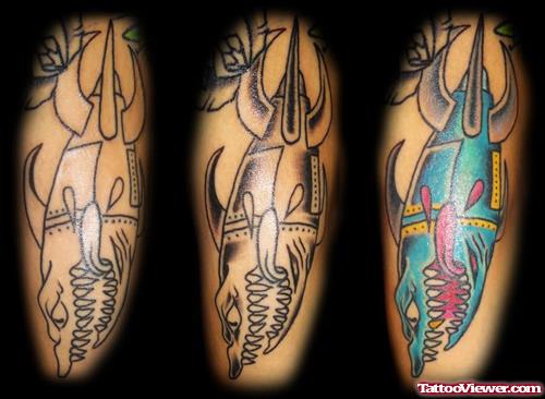 Shark New Tattoos By Admin