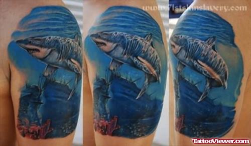 Shark In Sea Tattoo On Shoulder