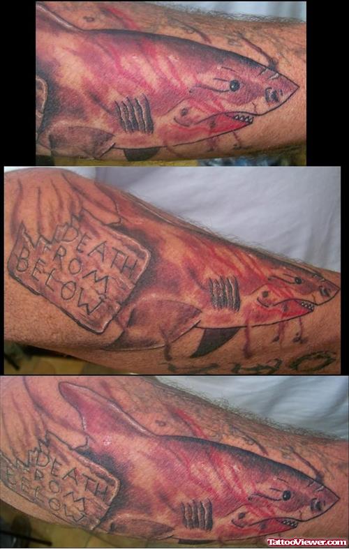 Great Red And White  Shark Tattoos