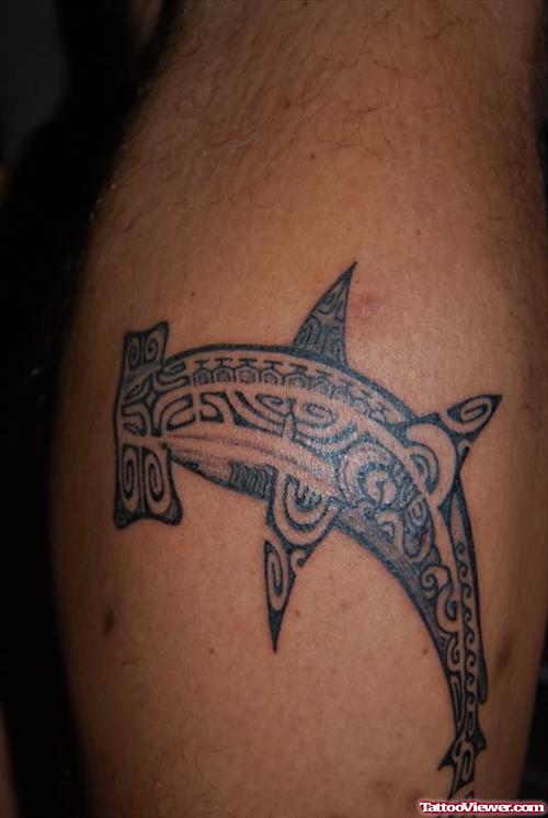 Designing Shark Tattoo