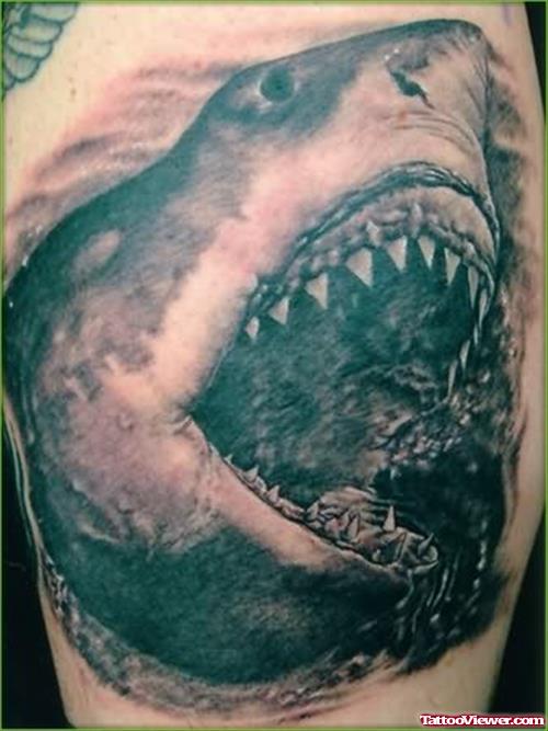 Black Ink Shark Tattoo On Body