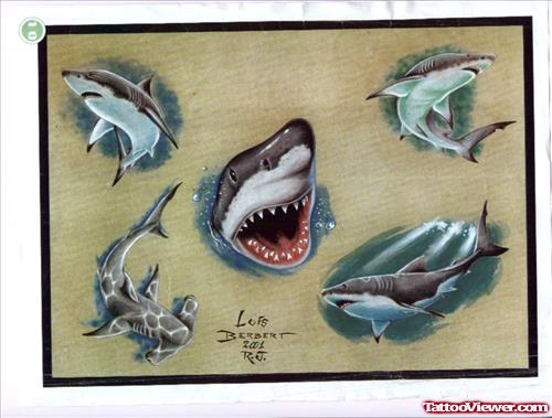 Shark Tattoos Designs Pictures