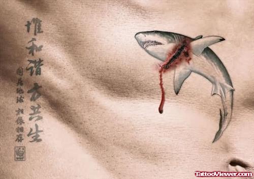Injured Shark Tattoo On Stomach