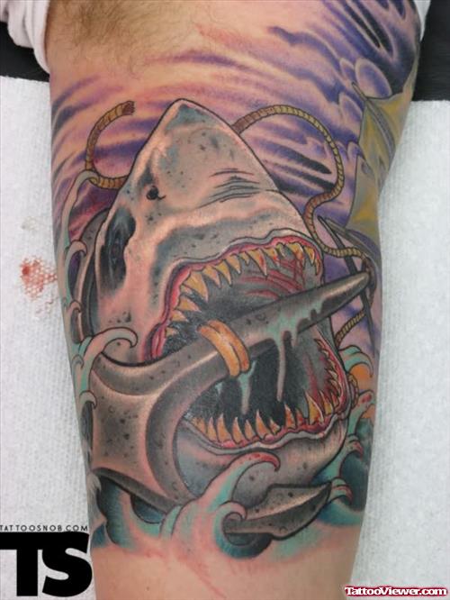 Anchor In Shark Mouth Tattoo