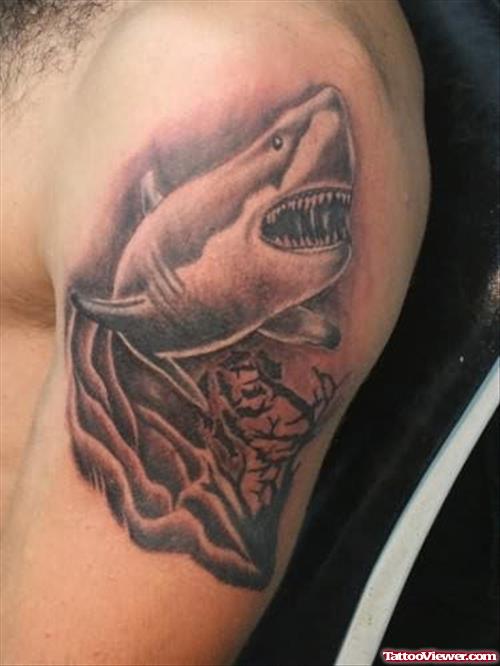 Shark Tattoo On Shoulder