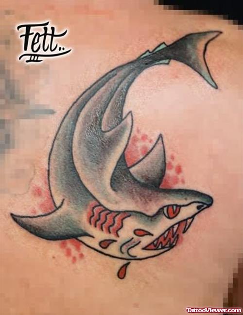 Shark Tattoo On Back Shoulder
