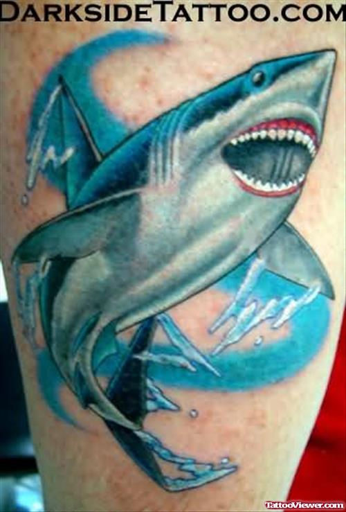 Shark And Sea Tattoo On Body