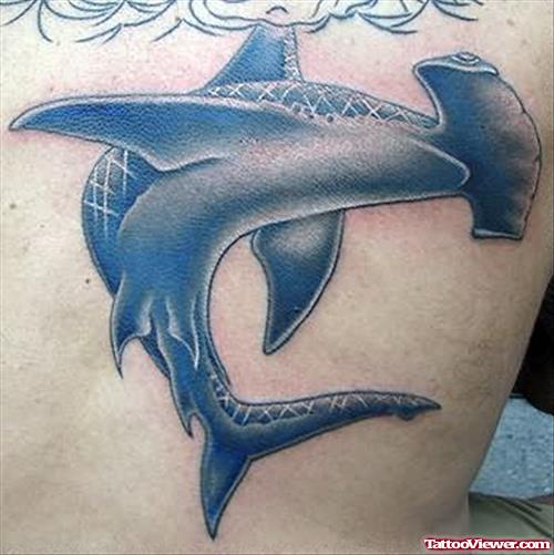 Hammerhead Shark Tattoo For Body