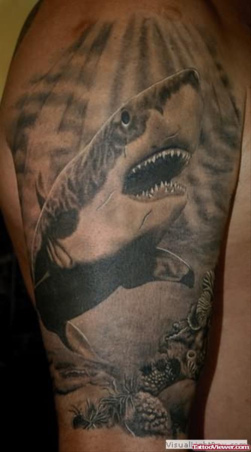 Great Grey Shark Tattoo