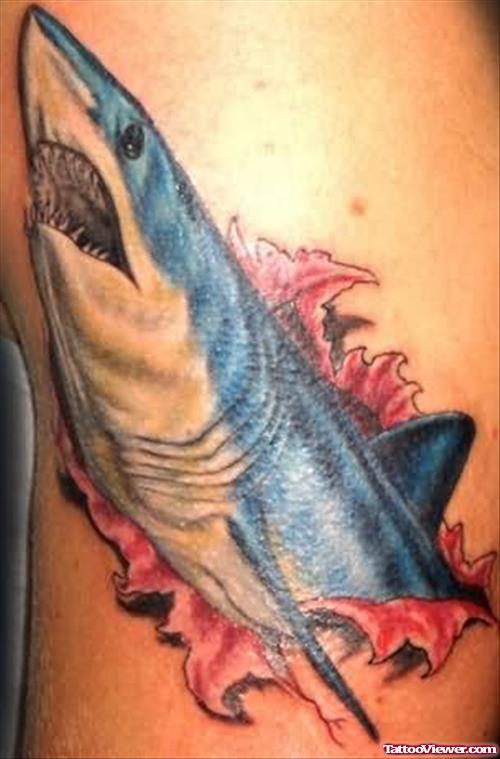 Beautiful Shark Tattoo