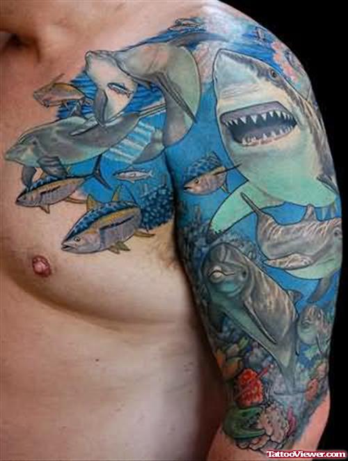 Shark Tattoos For Shoulder