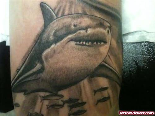 Great Black ANd White Shark Tattoo On Body