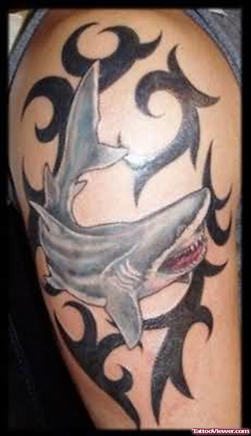 Shark Tattoo For Shoulder
