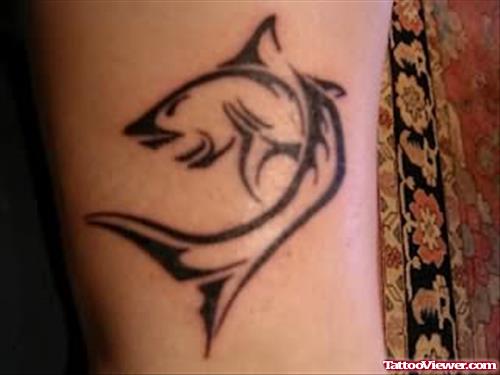 Shark Fish Tattoo Design