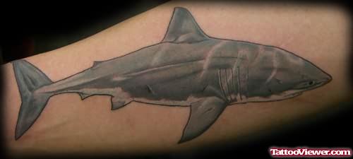 Grey And White Shark Tattoo
