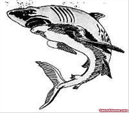 Black And White Shark Tattoo Design