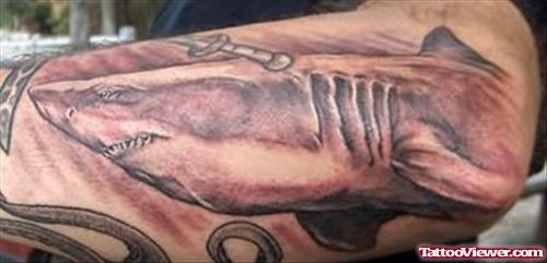 Beautiful Shark Tattoo For Body