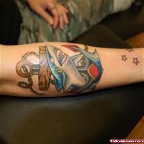 Anchor And Shark Tattoo On Arm